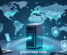 Proxcroxy com: Benefits and Performance Insights